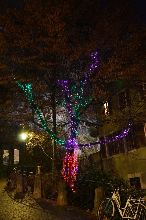 2016-12 France/Annecy/DSC_0038.JPG